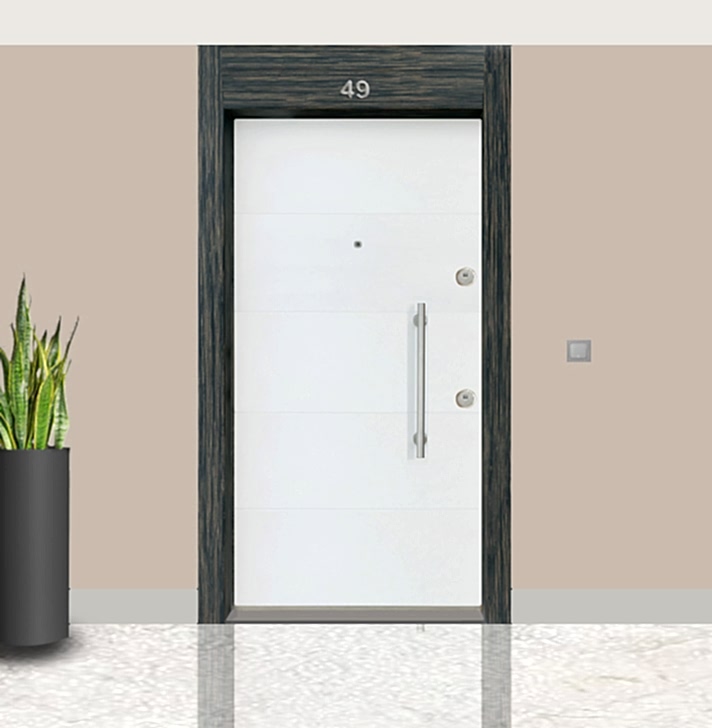Proje Çelik Kapısı E-12