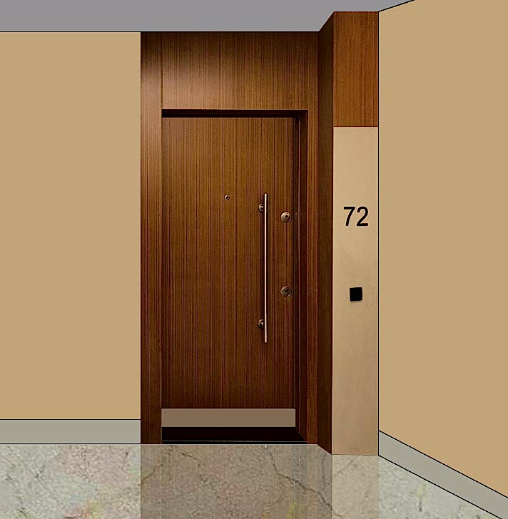 Proje Çelik Kapıları E-41