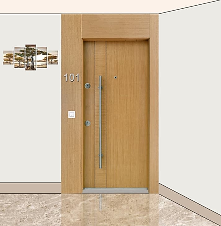 Proje Çelik Kapısı E-5