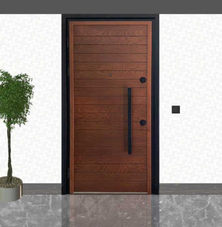 Proje Çelik Kapıları E-58